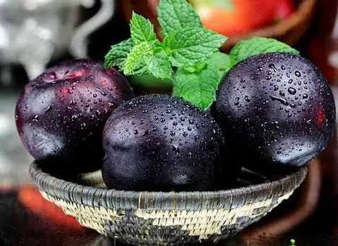 تصویر 2 از قیمت آلو بخارا طبیعی + فروش ویژه